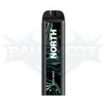 North 5000 Puffs Zero Nicotine Salt - Display of 10 - Gum Mint