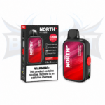 North FT12000 REIMAGINED 12000 Puffs - Display of 10