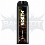 North 5000 Puffs (BIU) - Display of 10 - Peach Berry
