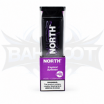 North 5000 Puffs (BIU) - Display of 10 - Tropical Summer