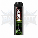 North 5000 Puffs (BIU) - Display of 10 - Kiwi Dragon Fruit