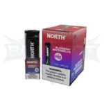 North 5000 Puffs - Display of 10 (Case of 20) - Blueberry Watermelon