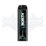 North 5000 Puffs - Display of 10 (Case of 20) - Gum Mint