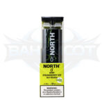 North 5000 Puffs - Display of 10 (Case of 20) - Kiwi Strawberry Ice