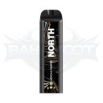 North 5000 Puffs - Display of 10 (Case of 20) - Mocha Frappe