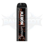 North 5000 Puffs - Display of 10 (Case of 20) - Orange Mango Watermelon