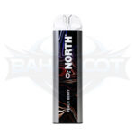 North 5000 Puffs - Display of 10 (Case of 20) - Peach Berry