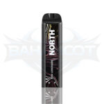 North 5000 Puffs - Display of 10 (Case of 20) - Pink Lemonade