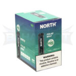 North 5000 Puffs - Display of 10 (Case of 20) - Polar Mint