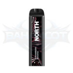 North 5000 Puffs - Display of 10 (Case of 20) - Strawberry Banana