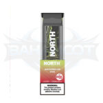 North 5000 Puffs - Display of 10 (Case of 20) - Watermelon Kiwi